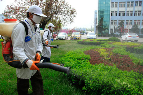 廠房滅蚊殺蟲(chóng)施工